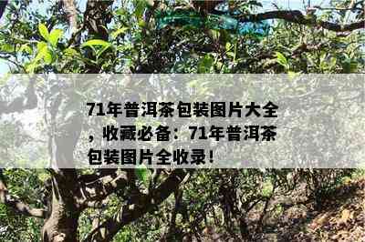 71年普洱茶包装图片大全，收藏必备：71年普洱茶包装图片全收录！