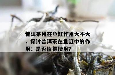 普洱茶用在缸作用大不大，探讨普洱茶在缸中的作用：是否值得使用？