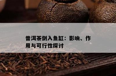 普洱茶倒入缸：影响、作用与可行性探讨