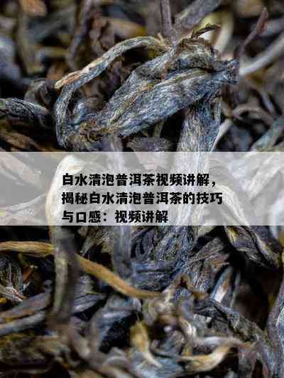 白水清泡普洱茶视频讲解，揭秘白水清泡普洱茶的技巧与口感：视频讲解