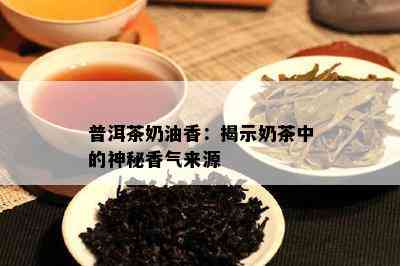 普洱茶奶油香：揭示奶茶中的神秘香气来源