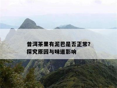 普洱茶里有泥巴是否正常？探究原因与味道影响