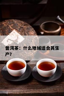 普洱茶：什么地域适合其生产？