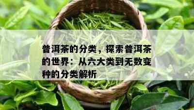 普洱茶的分类，探索普洱茶的世界：从六大类到无数变种的分类解析