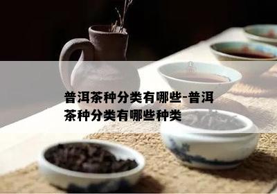 普洱茶种分类有哪些-普洱茶种分类有哪些种类