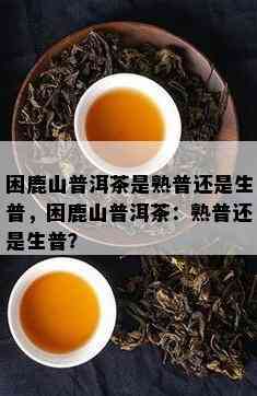 困鹿山普洱茶是熟普还是生普，困鹿山普洱茶：熟普还是生普？