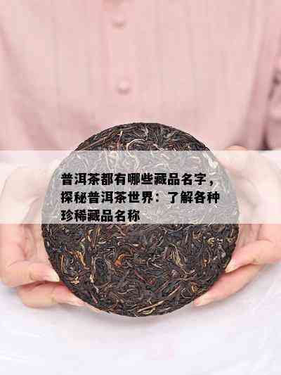 普洱茶都有哪些藏品名字，探秘普洱茶世界：了解各种珍 *** 品名称