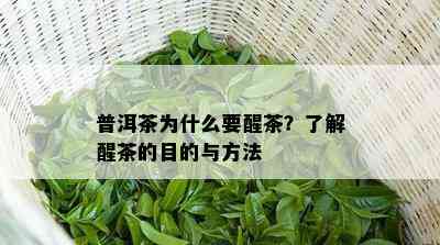 普洱茶为什么要醒茶？了解醒茶的目的与方法