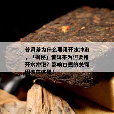 普洱茶为什么要用开水冲泡，「揭秘」普洱茶为何要用开水冲泡？影响口感的关键因素在这里！