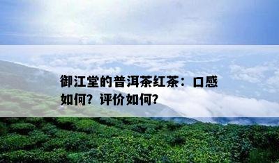 御江堂的普洱茶红茶：口感如何？评价如何？