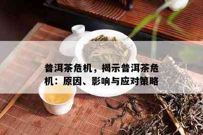 普洱茶危机，揭示普洱茶危机：原因、影响与应对策略