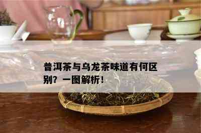 普洱茶与乌龙茶味道有何区别？一图解析！