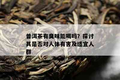 普洱茶有臭味能喝吗？探讨其是否对人体有害及适宜人群