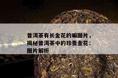 普洱茶有长金花的嘛图片，揭秘普洱茶中的珍贵金花：图片解析