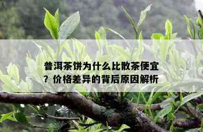 普洱茶饼为什么比散茶便宜？价格差异的背后原因解析