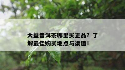 大益普洱茶哪里买正品？了解更佳购买地点与渠道！