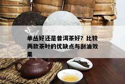 单丛好还是普洱茶好？比较两款茶叶的优缺点与刮油效果