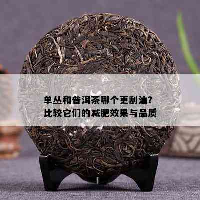 单丛和普洱茶哪个更刮油？比较它们的减肥效果与品质