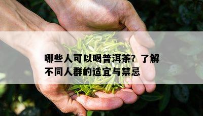 哪些人可以喝普洱茶？了解不同人群的适宜与禁忌