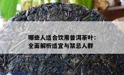 哪些人适合饮用普洱茶叶：全面解析适宜与禁忌人群