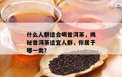 什么人群适合喝普洱茶，揭秘普洱茶适宜人群，你属于哪一类？