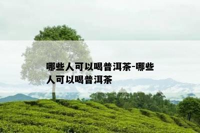 哪些人可以喝普洱茶-哪些人可以喝普洱茶