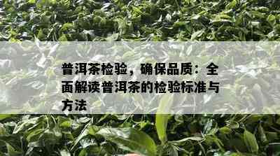 普洱茶检验，确保品质：全面解读普洱茶的检验标准与方法