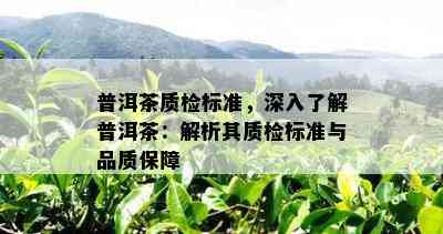 普洱茶质检标准，深入了解普洱茶：解析其质检标准与品质保障