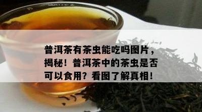 普洱茶有茶虫能吃吗图片，揭秘！普洱茶中的茶虫是否可以食用？看图了解真相！