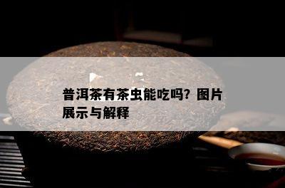 普洱茶有茶虫能吃吗？图片展示与解释