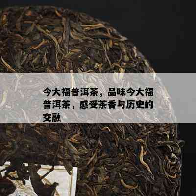 今大福普洱茶，品味今大福普洱茶，感受茶香与历史的交融