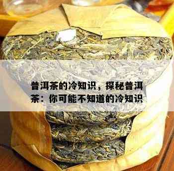 普洱茶的冷知识，探秘普洱茶：你可能不知道的冷知识