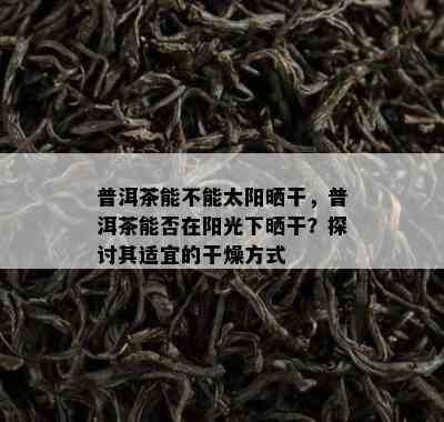 普洱茶能不能太阳晒干，普洱茶能否在阳光下晒干？探讨其适宜的干燥方式