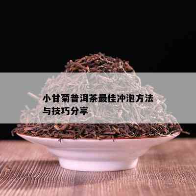 小甘菊普洱茶更佳冲泡方法与技巧分享