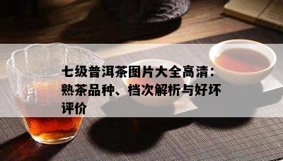 七级普洱茶图片大全高清：熟茶品种、档次解析与好坏评价