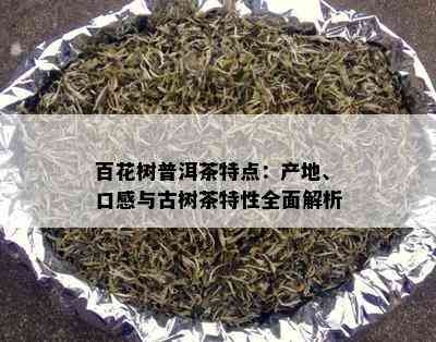 百花树普洱茶特点：产地、口感与古树茶特性全面解析