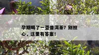 孕期喝了一壶普洱茶？别担心，这里有答案！