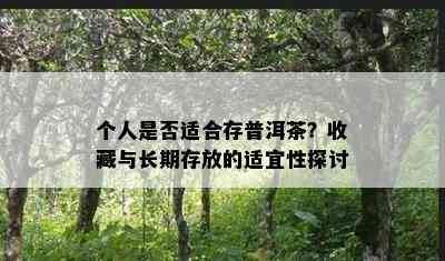 个人是否适合存普洱茶？收藏与长期存放的适宜性探讨