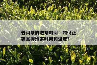 普洱茶的泡茶时间：如何正确掌握泡茶时间和温度？