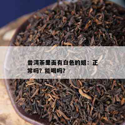 普洱茶里面有白色的蛆：正常吗？能喝吗？