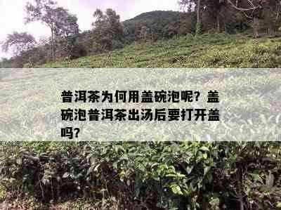 普洱茶为何用盖碗泡呢？盖碗泡普洱茶出汤后要打开盖吗？