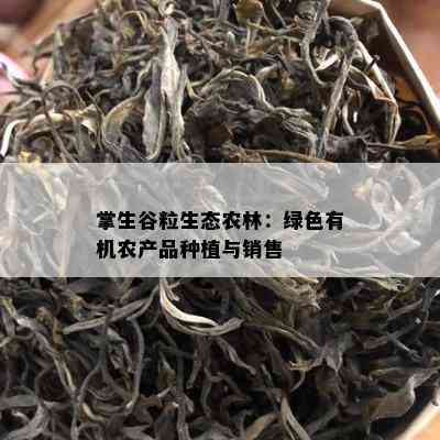 掌生谷粒生态农林：绿色有机农产品种植与销售