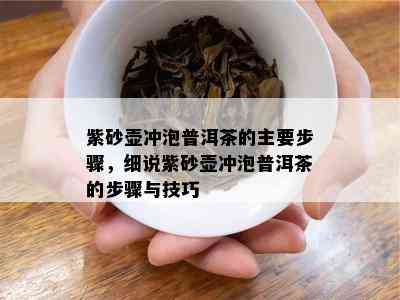 紫砂壶冲泡普洱茶的主要步骤，细说紫砂壶冲泡普洱茶的步骤与技巧