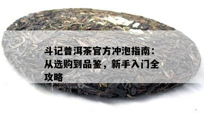 斗记普洱茶官方冲泡指南：从选购到品鉴，新手入门全攻略