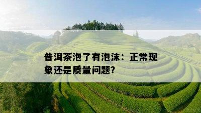 普洱茶泡了有泡沫：正常现象还是质量问题？