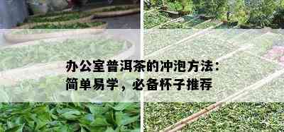 办公室普洱茶的冲泡方法：简单易学，必备杯子推荐