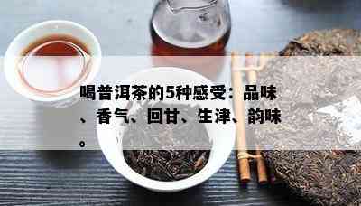 喝普洱茶的5种感受：品味、香气、回甘、生津、韵味。