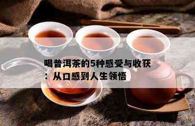 喝普洱茶的5种感受与收获：从口感到人生领悟