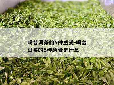 喝普洱茶的5种感受-喝普洱茶的5种感受是什么