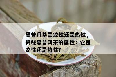 黑普洱茶是凉性还是热性，揭秘黑普洱茶的属性：它是凉性还是热性？